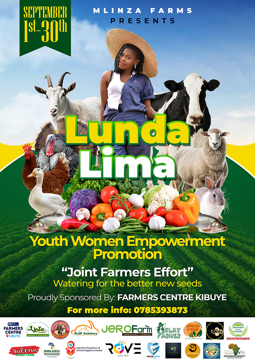 Poster 3